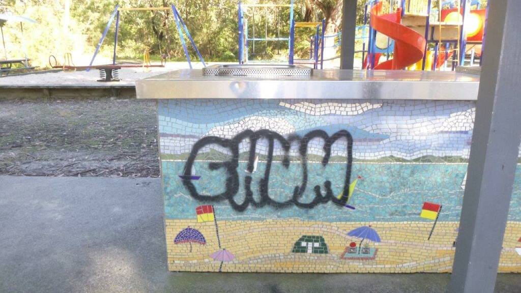 Playground equipment, barbecues and toilets have all been tagged at Hawks Nest.
