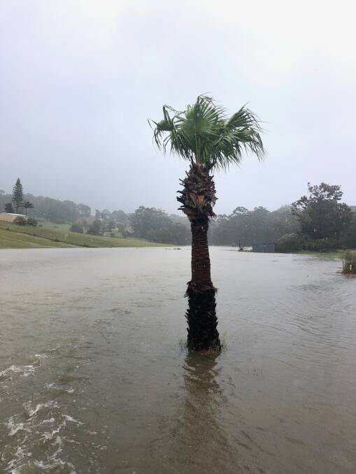 A number of locals say they have never seen so much rain hit Pacific Palms.
