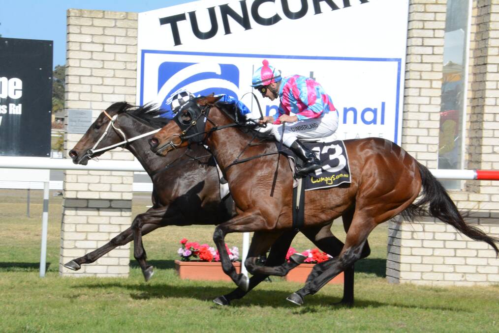 The Seafood Race Day comes to Tuncurry Forster Jockey Club this Saturday.