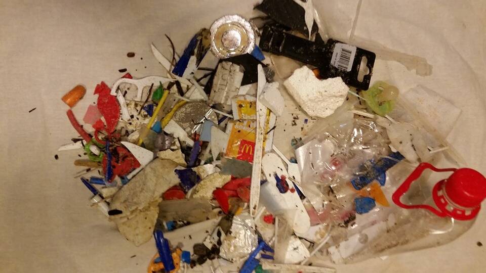 Some of the plastic Tarbuck Bay resident Judy Donnelly picked up while walking along Blueys Beach.