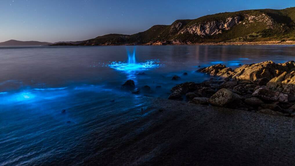 Algal bioluminescence captured on film in Tasmania. Picture by Leanne Marshall