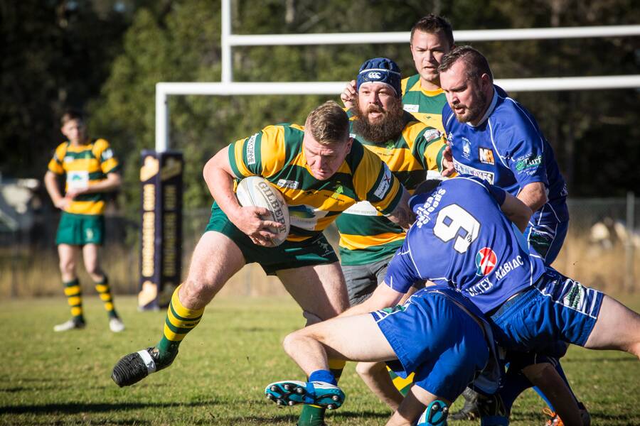 Forster Tuncurry Dolphins flanker Troy Haines charges through Wallamba Bulls defenders, pursued by hooker Scott Walmsley and lock Pat Randall. The Bulls defeated the Dolphins, 24-22 at Nabiac on Saturday.