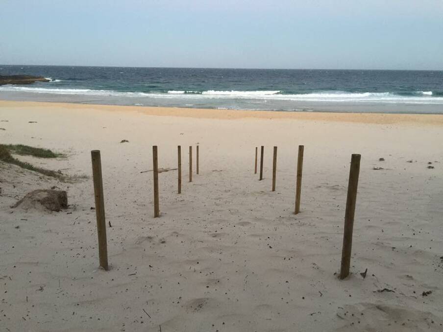 The fencing at North One Mile Beach. Photo by David Rankin.