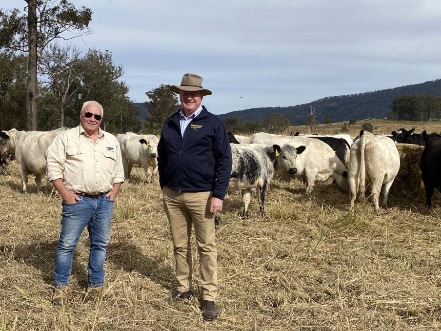 Martin Luitingh and Member for Myall Lakes, Stephen Bromhead at the BigWig Speckle Park Stud property in Hillville. Photo: Julia Driscoll