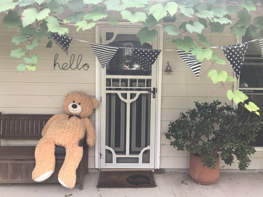 Teddy bears big and small have come out of hiding in Tinonee.