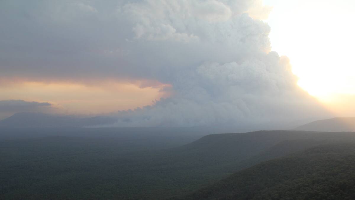 A fully developed pyrocumulus (firestorm) cloud during the Grampians fire in February 2013. Photo: Randall Bacon