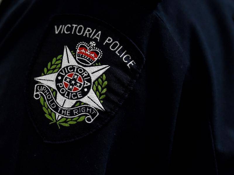 A woman and man have been charged after an attack on a group picnicking in a Melbourne park.