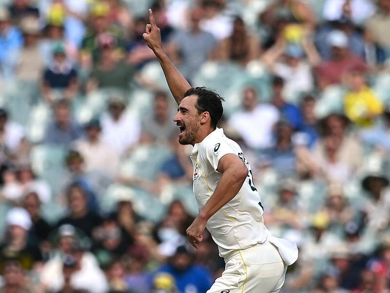 Australia quick Mitchell Starc has become the fifth bowler to win the Allan Border Medal.
