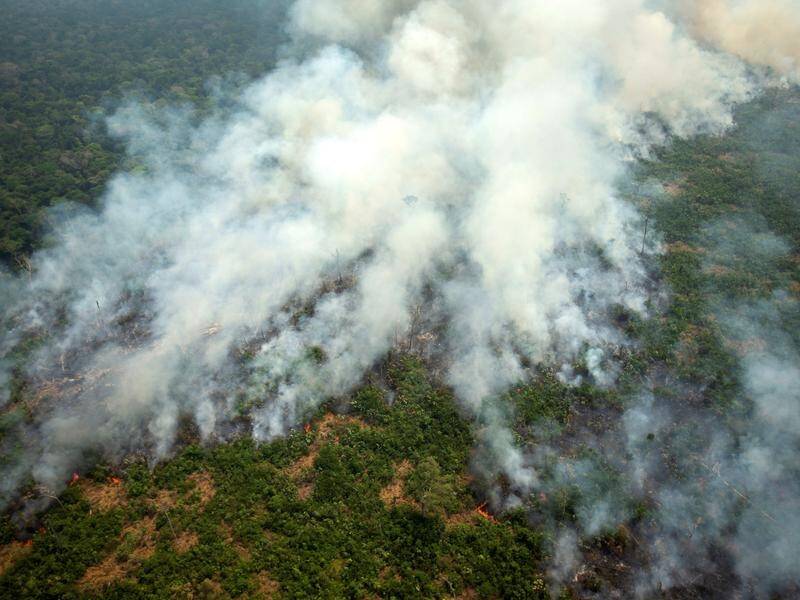 Forest fires in the Brazilian Amazon have surged 83 per cent in number this year.