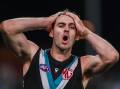 Port's Jeremy Finlayson has expressed disappointment at the length of his gay slur suspension. (Matt Turner/AAP PHOTOS)