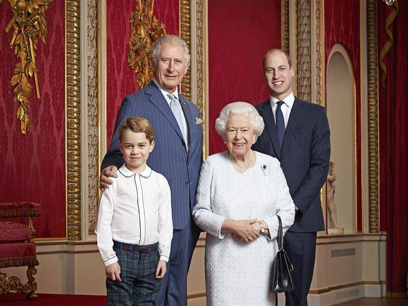 Queen Elizabeth, Prince Charles (back, l), Prince William and Prince George (l) in the new portrait.