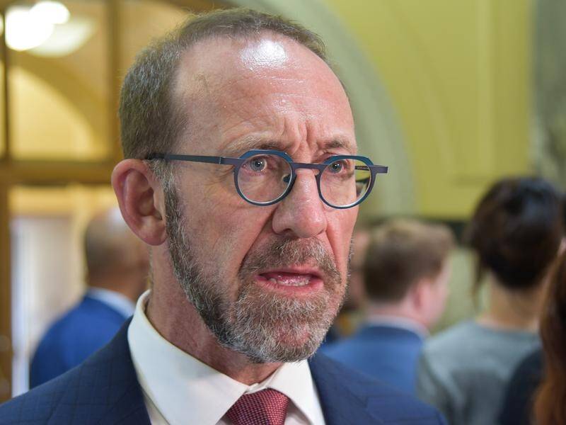 Andrew Little says New Zealand's health system has become too complex and fragmented.