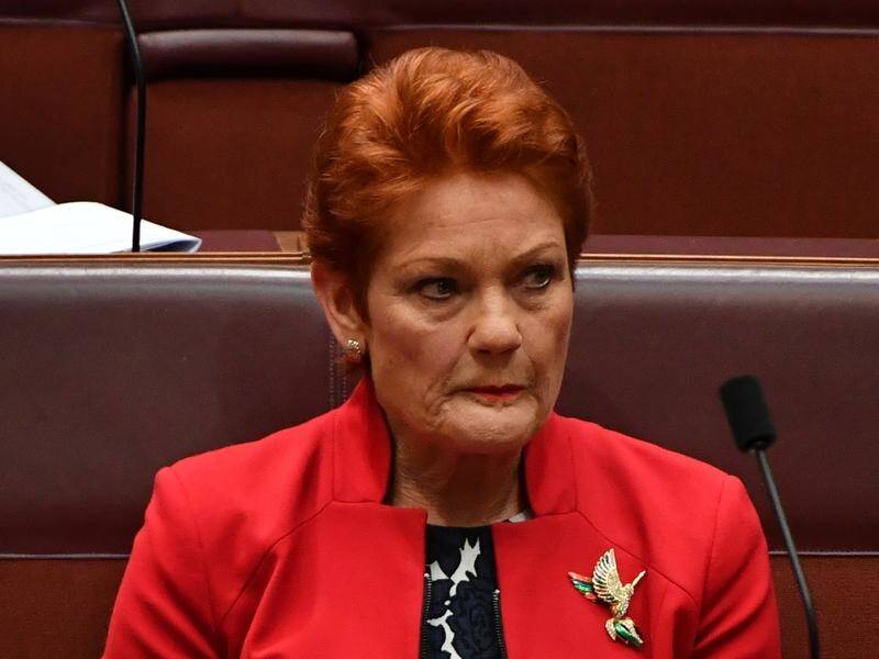 David Littleproud has savaged One Nation leader Pauline Hanson's 'cruel hoax' on a milk floor price.