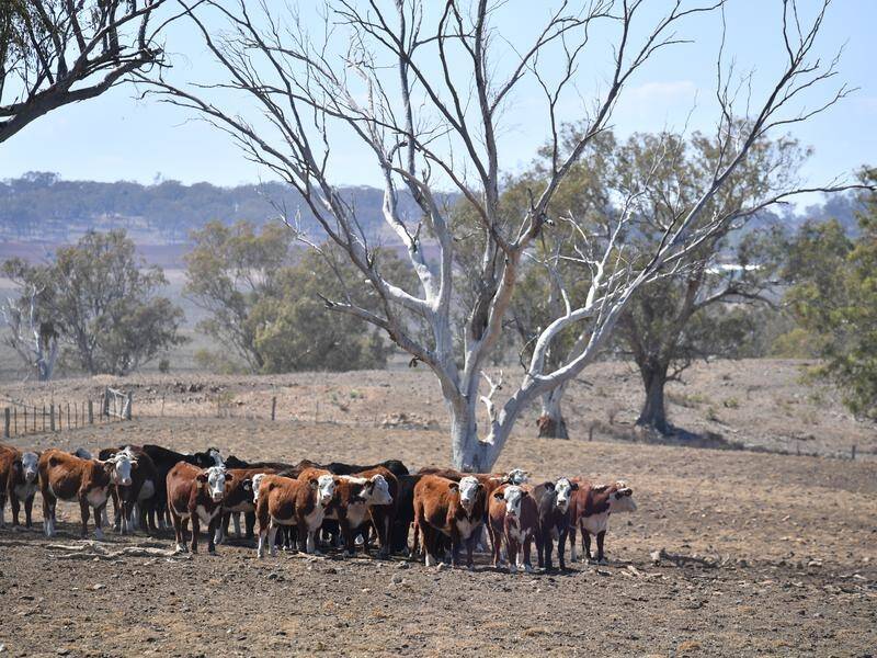 Canberra and the states have agreed more needs to be done to better integrate drought relief.