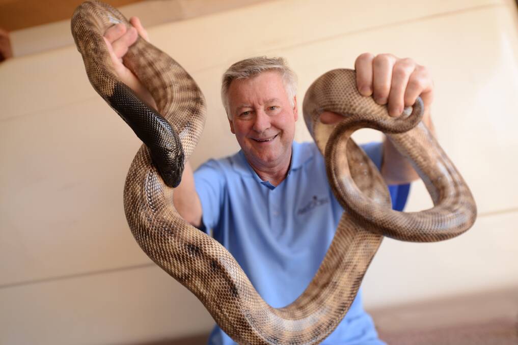 WHAT A BEAUTY: Local snake expert John Smith holds a 7.5 foot long black headed pyhton. The snake is predominantly found in North Queensland.  