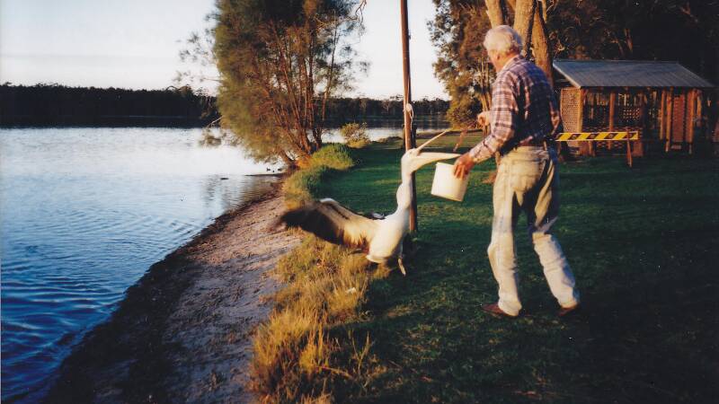 IDYLLIC: Residents at Coomba Park get up close and personal with the visiting wildlife. 
