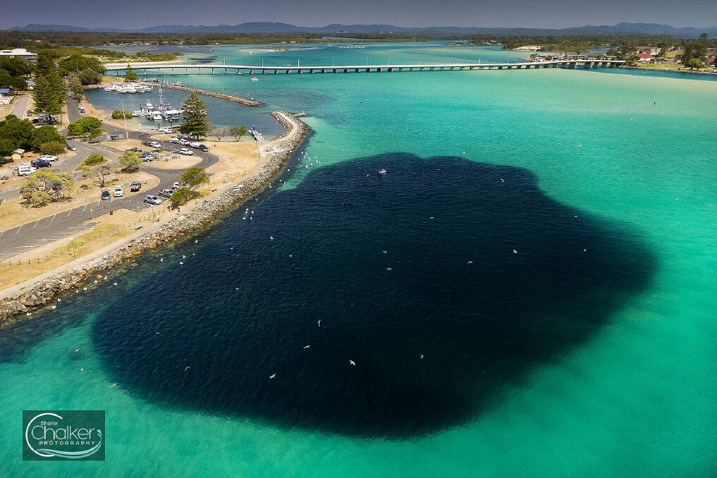 Great Lakes photographer Shane Chalker's image of a giant school of bait fish at the entrance to Wallis Lake was featured in the national media last week. 
