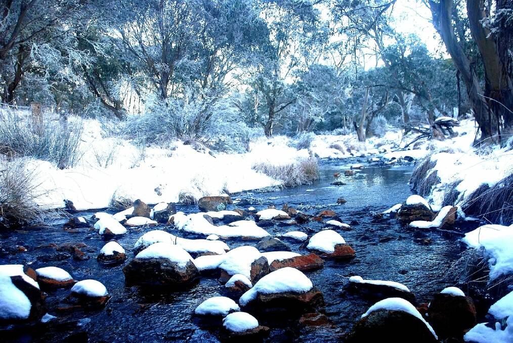 Draw for tourists: Snow at Barrington Tops brings with it a strong economic benefit for the entire local government area, according to MidCoast Council. Photo: Rob Eggins.