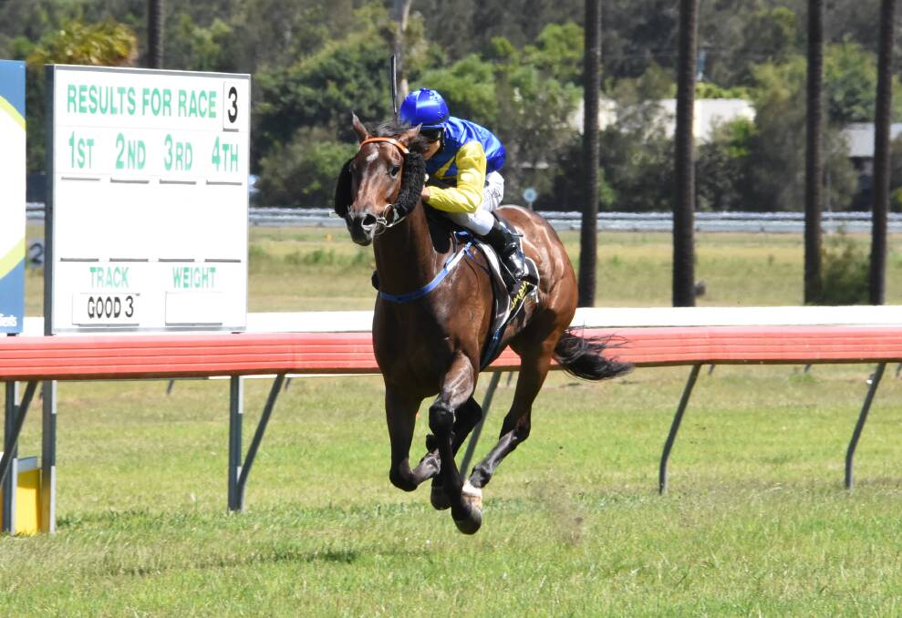Winning ride: Aaron Bullock rode Juventus to victory in the Mid North Coast Now Maiden Plate. Bullock rode in three races across the day. Photo: Scott Calvin.