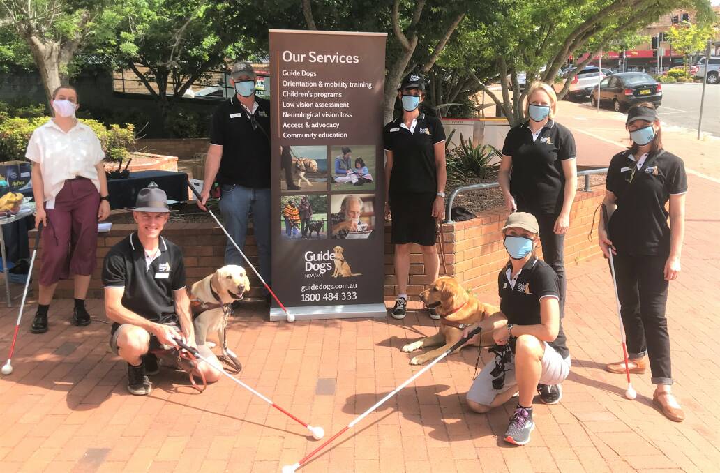 Council's Calypso Watson with Guide Dogs NSW/ACT's Nathan Burford, Matt Wood, Lyndel Bosman, Belinda Latimore, Jody Morris and Fiona Ryan with Lucy and Pascal before the Taree training exercise.