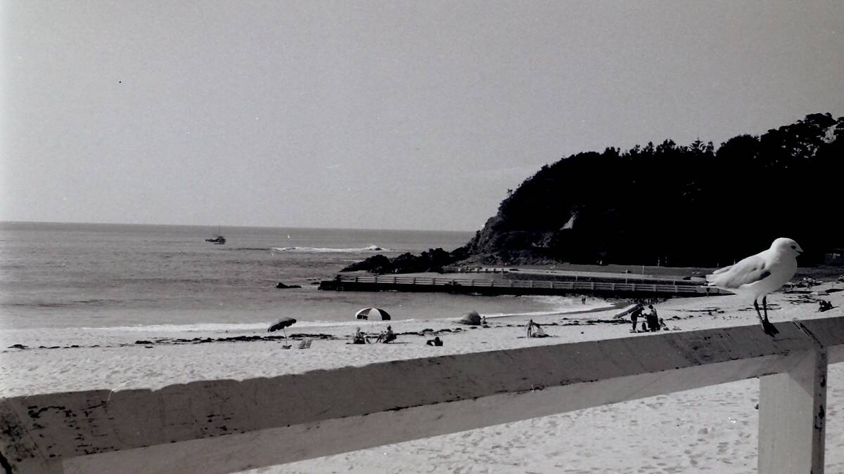 THROWBACK THURSDAY: Forster Main Beach in 1986