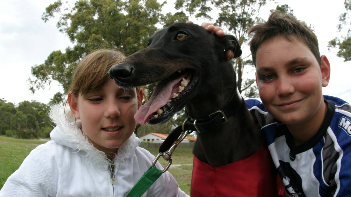 THROWBACK THURSDAY: Gemma and Beau McLean with their adored pet Bazwill. The greyhound won the family $40,000 after winning the Puppy Classic in Dapto.