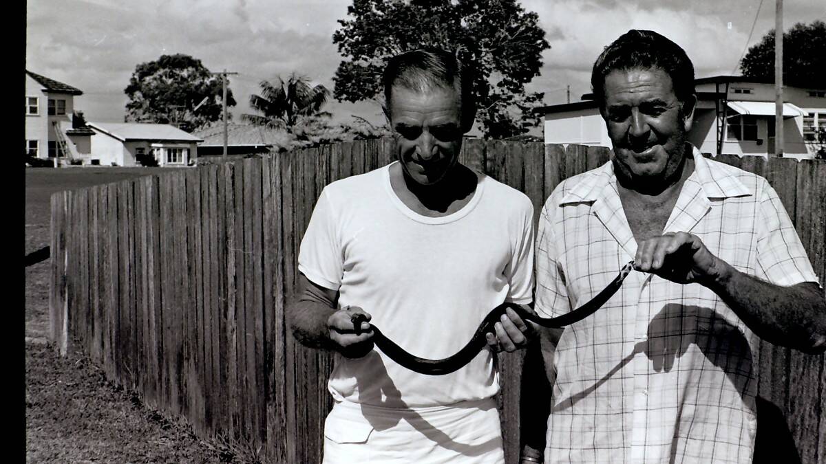 THROWBACK THURSDAY: Keith Martin of Forster and Jack Symonds from Ingleburn hold a 70cm sea snake they found at One Mile Beach.