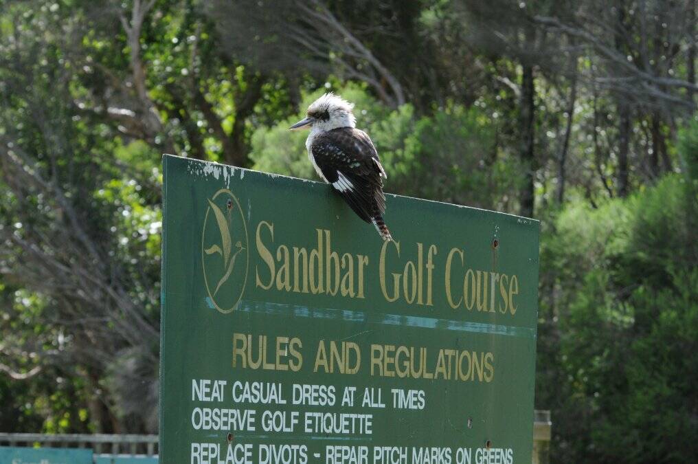 When it comes to picturesque golf courses the Sandbar course at Pacific Palms takes the cake.  It's now the official home of the Coomba Park Golf and Country Club.