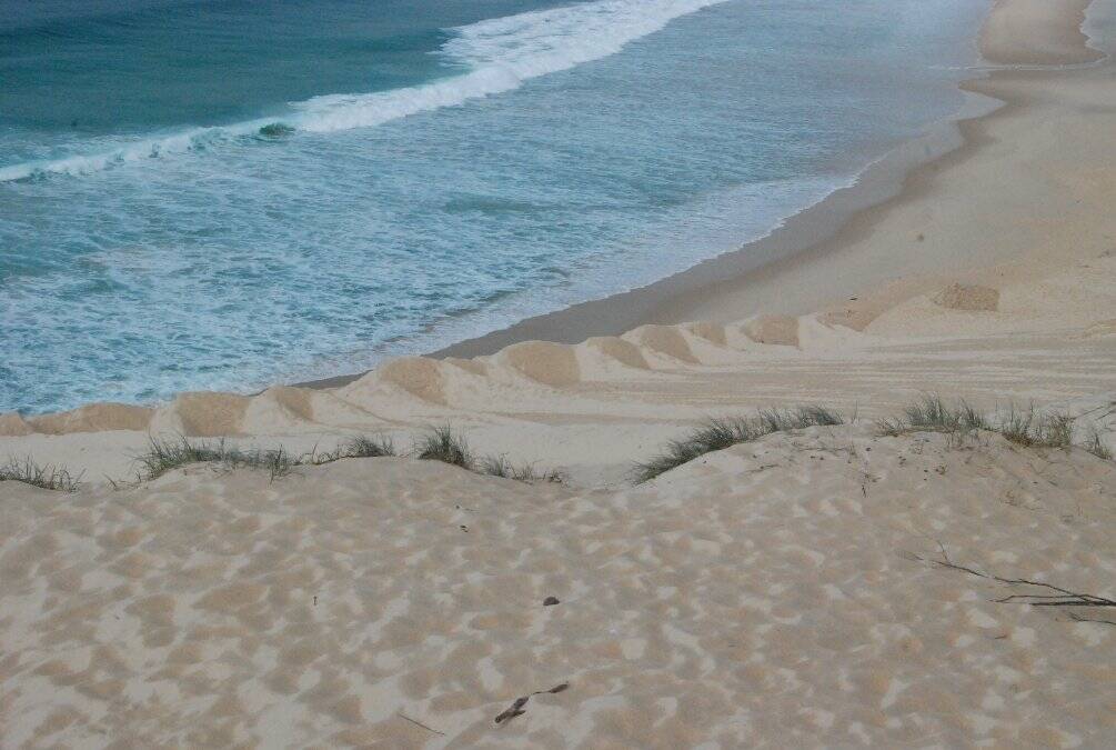 PHOTOS: Work on iconic sand dune | Great Lakes Advocate | Forster, NSW